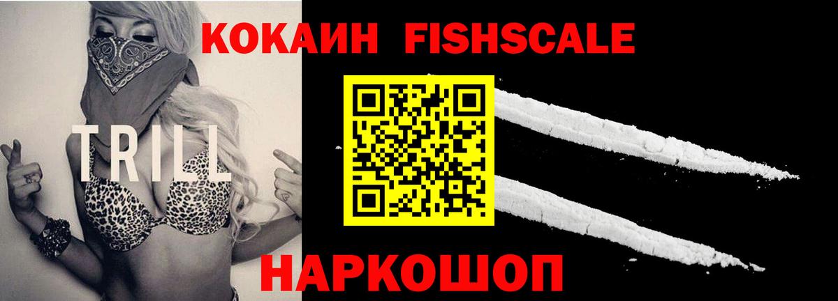 Cocaine FishScale Норильск