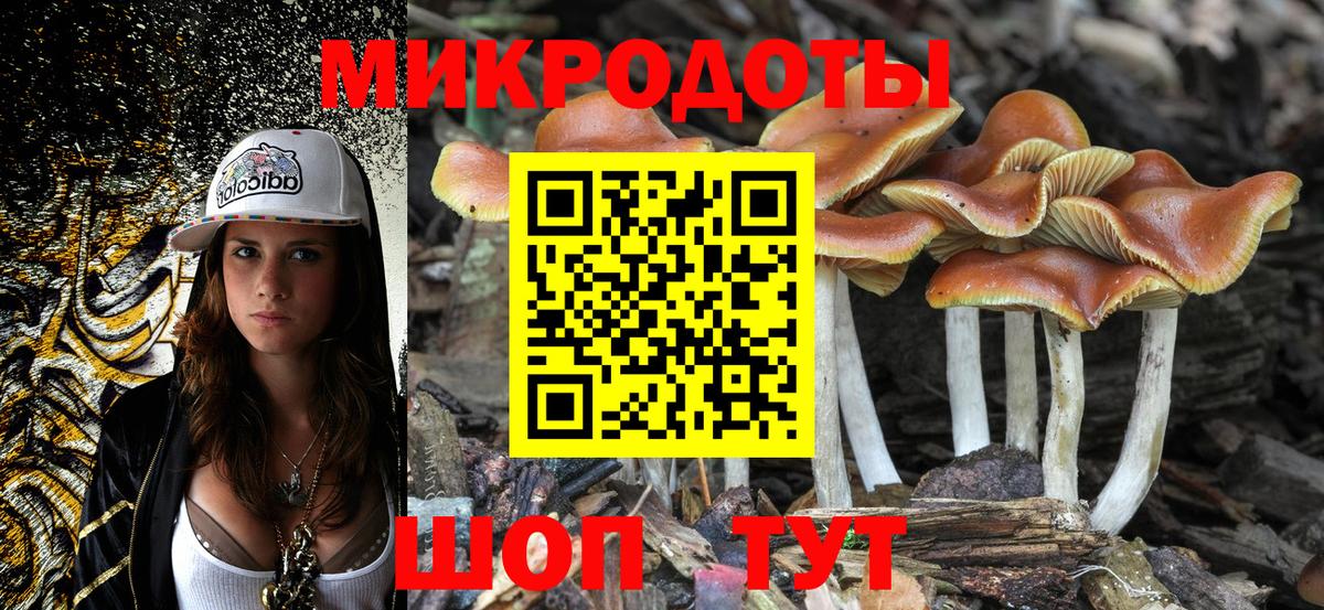 Норильск  где продают   Вход с VPN  Галлюциногенные грибы Psilocybe 